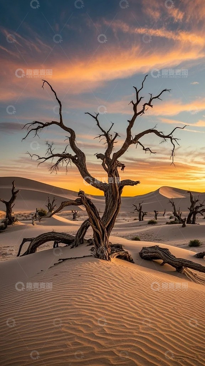 高清大图下载【趣麦麦图】蓝天白云沙漠与胡杨03