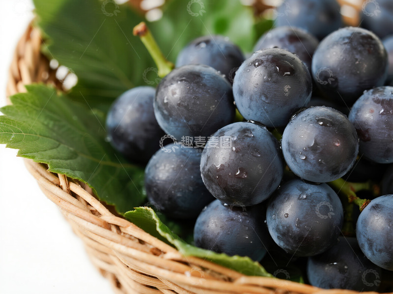 高清大图下载【趣麦麦图】一篮紫色的葡萄7