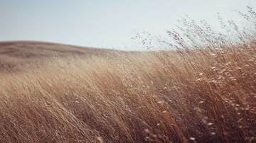 草原  草坡 碧原 
