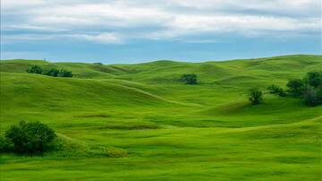 草原  绿野  草海