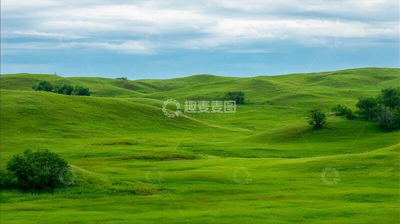草原  绿野  草海