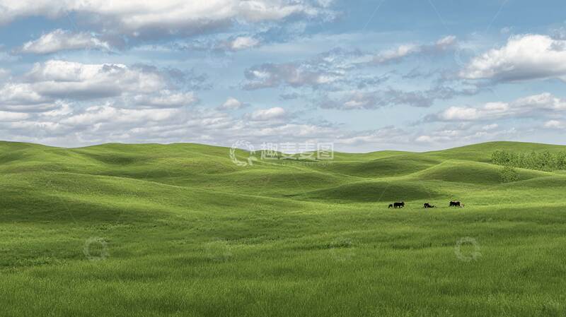 草原  绿野  芳甸 