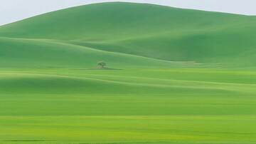 草原  绿野  草泽 