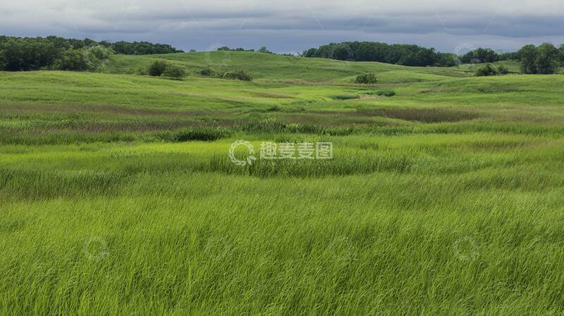 草原  绿野  莽原 