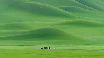 草原  绿野  草浪 