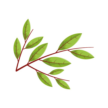 彩绘卡通树叶绿叶叶子叶片树枝枝叶