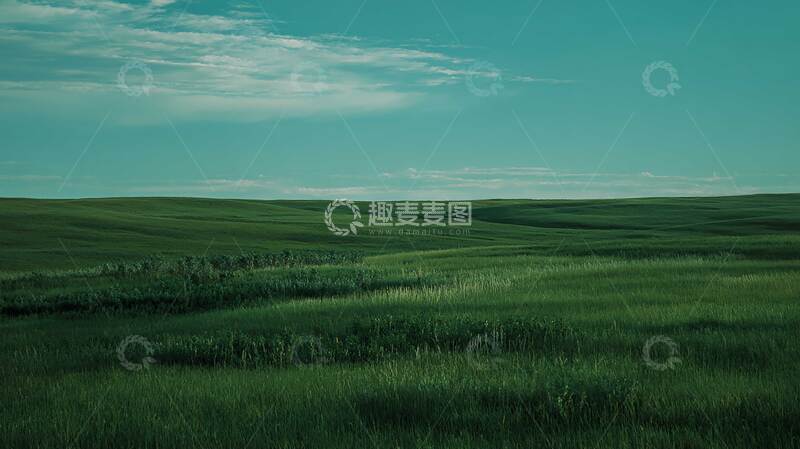 草原  绿野  青原 
