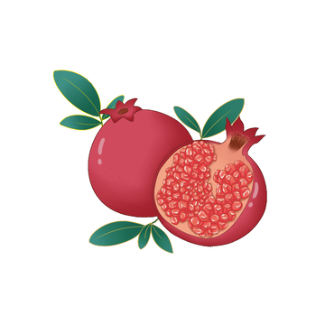 秋分节气水果石榴果实绿叶叶子