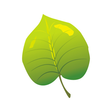 彩绘卡通树叶绿叶叶子叶片