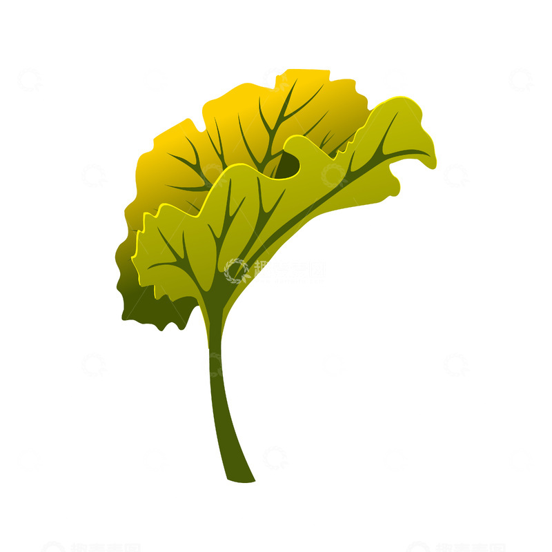 彩绘卡通树叶秋叶绿叶叶子叶片