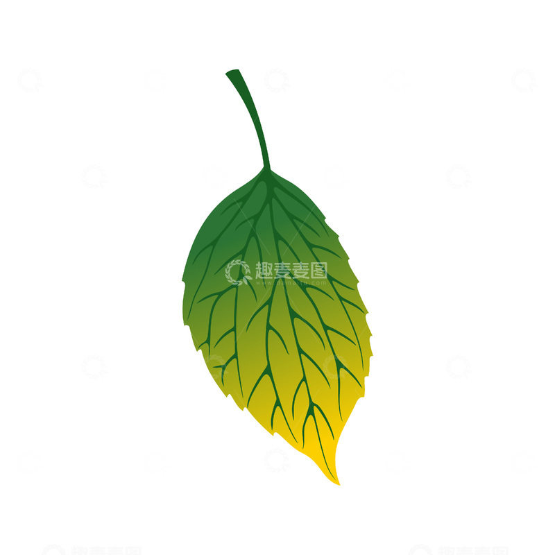 彩绘卡通绿叶秋叶枯叶树叶叶子