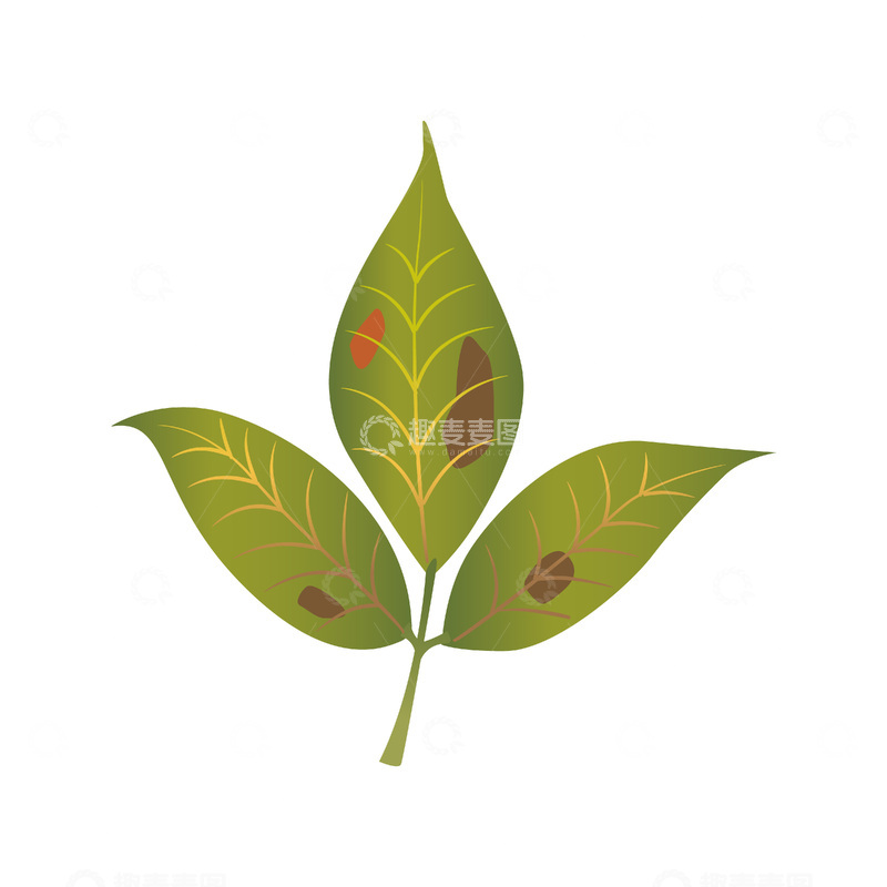源文件下载【趣麦麦图】-彩绘卡通树叶绿叶叶子枯叶叶片