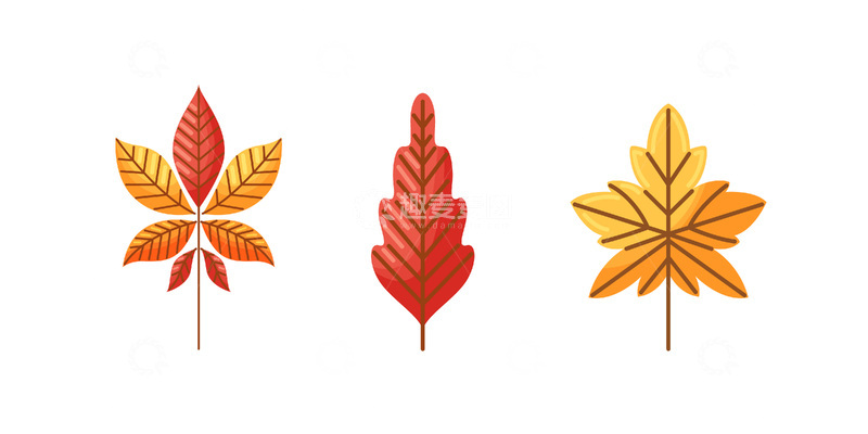 源文件下载【趣麦麦图】秋分节气秋叶枯叶树叶叶子书签