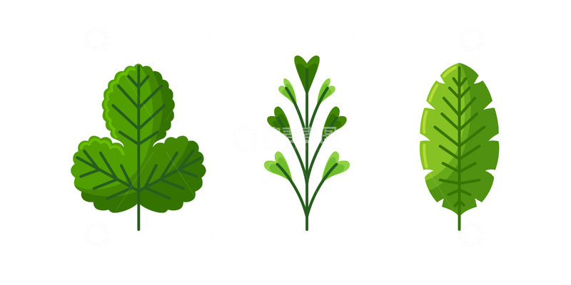 源文件下载【趣麦麦图】-彩绘卡通树叶绿叶叶子叶片标本