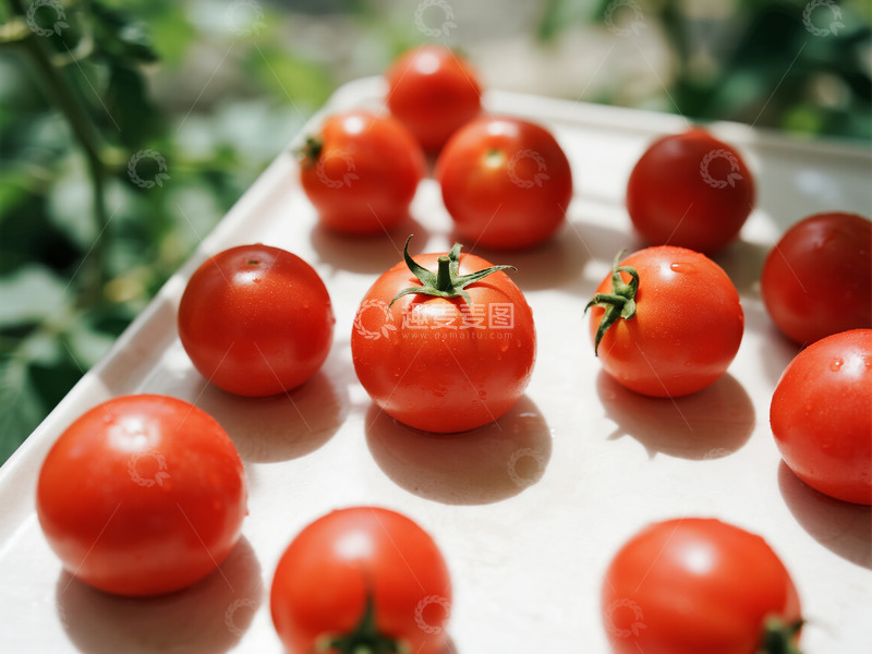高清大图下载【趣麦麦图】西红柿摄影图片2