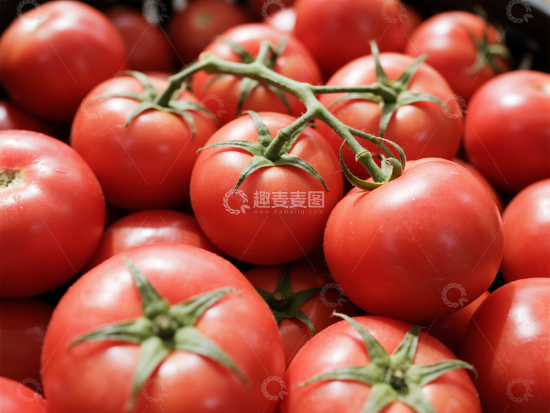 高清大图下载【趣麦麦图】西红柿摄影图片44