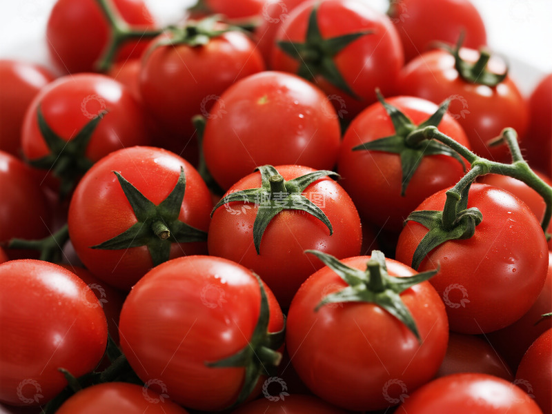 高清大图下载【趣麦麦图】西红柿摄影图片50