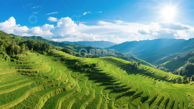 高清大图下载【趣麦麦图】梯田自然风景农业助农经济背景图