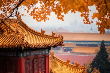 故宫房檐角楼树叶