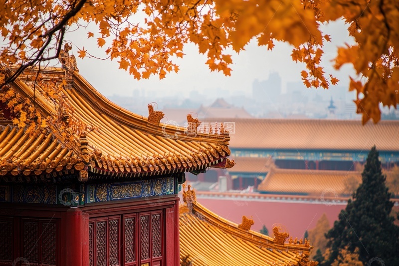 高清大图下载【趣麦麦图】故宫房檐角楼树叶