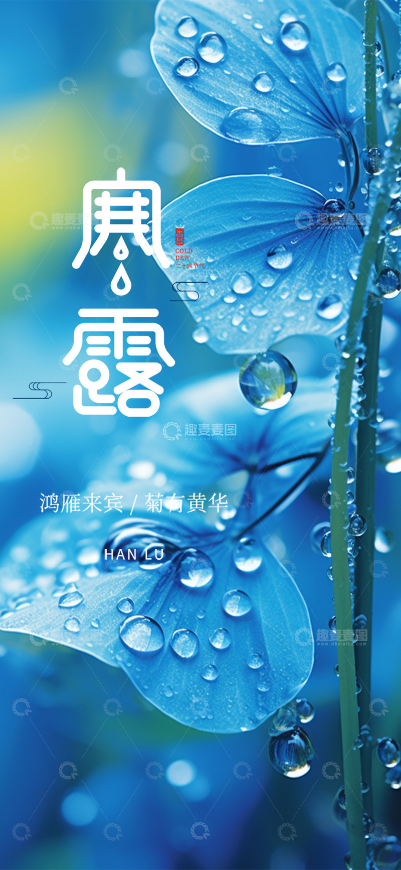 传统节气寒露宣传海报