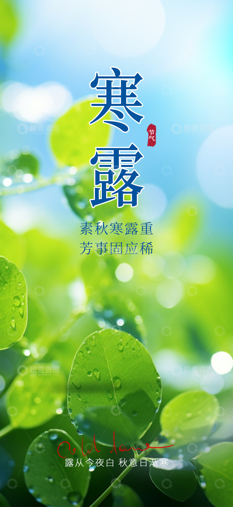 清新传统节气寒露宣传海报