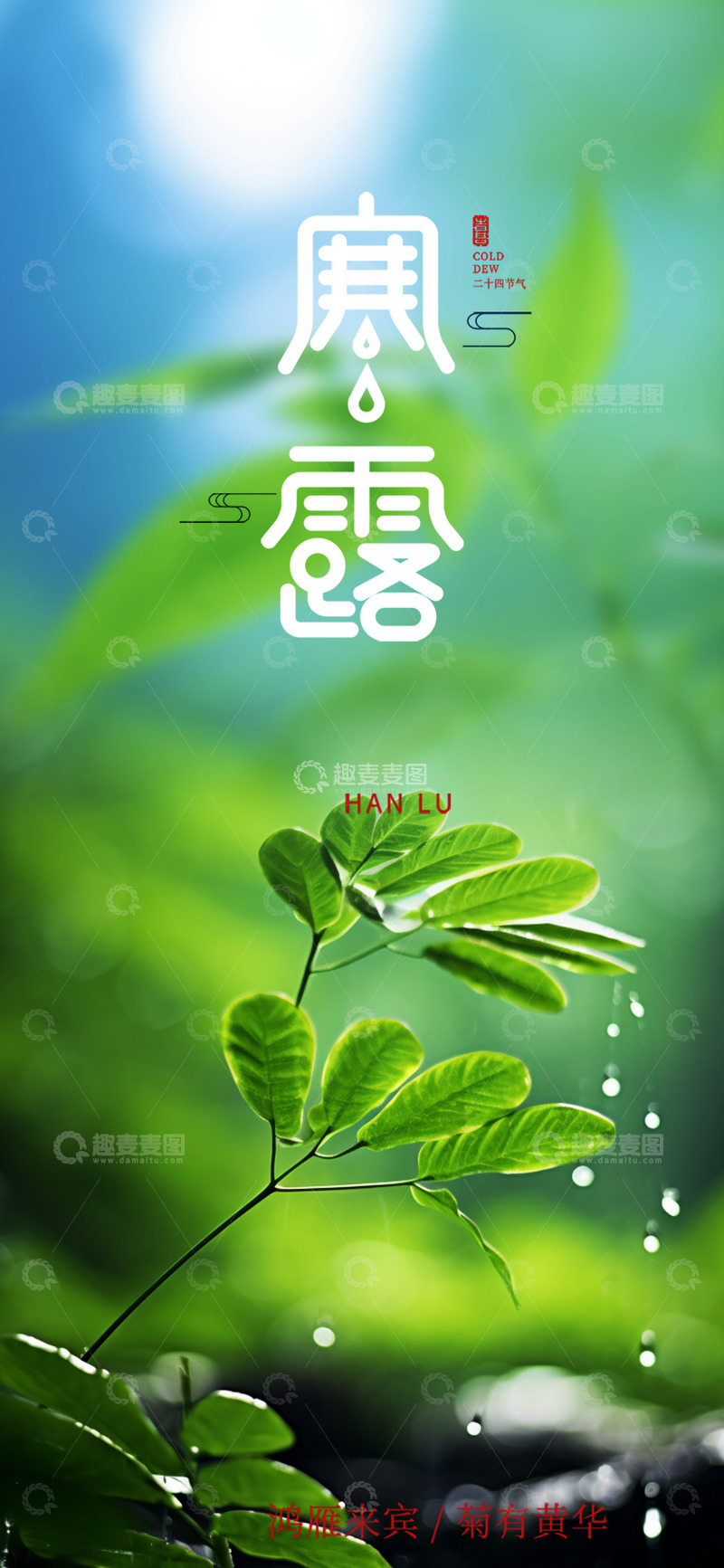 创意清新传统节气寒露宣传海报