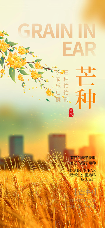 传统节气芒种宣传海报6