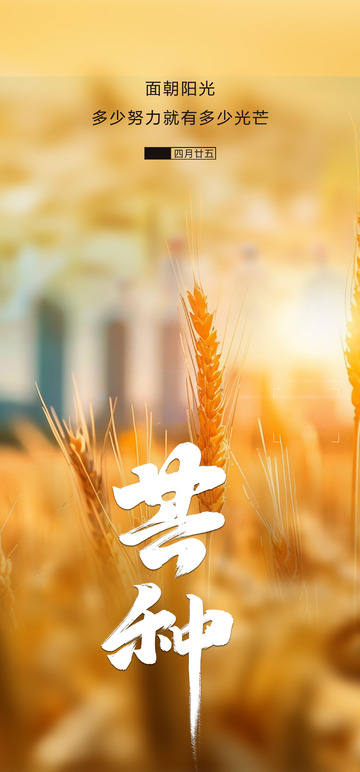 中国传统节气芒种宣传创意海报2