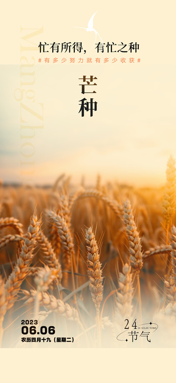 中国传统节气芒种海报4