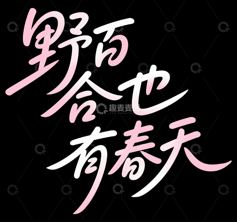 野百合也有春天标题字