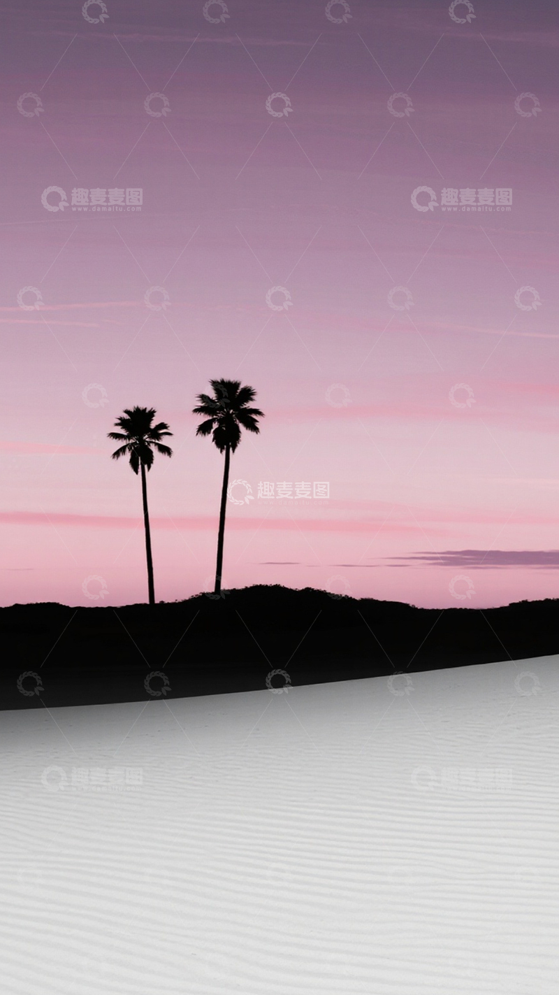 高清大图下载【趣麦麦图】沙丘棕榈粉紫黄昏剪影1