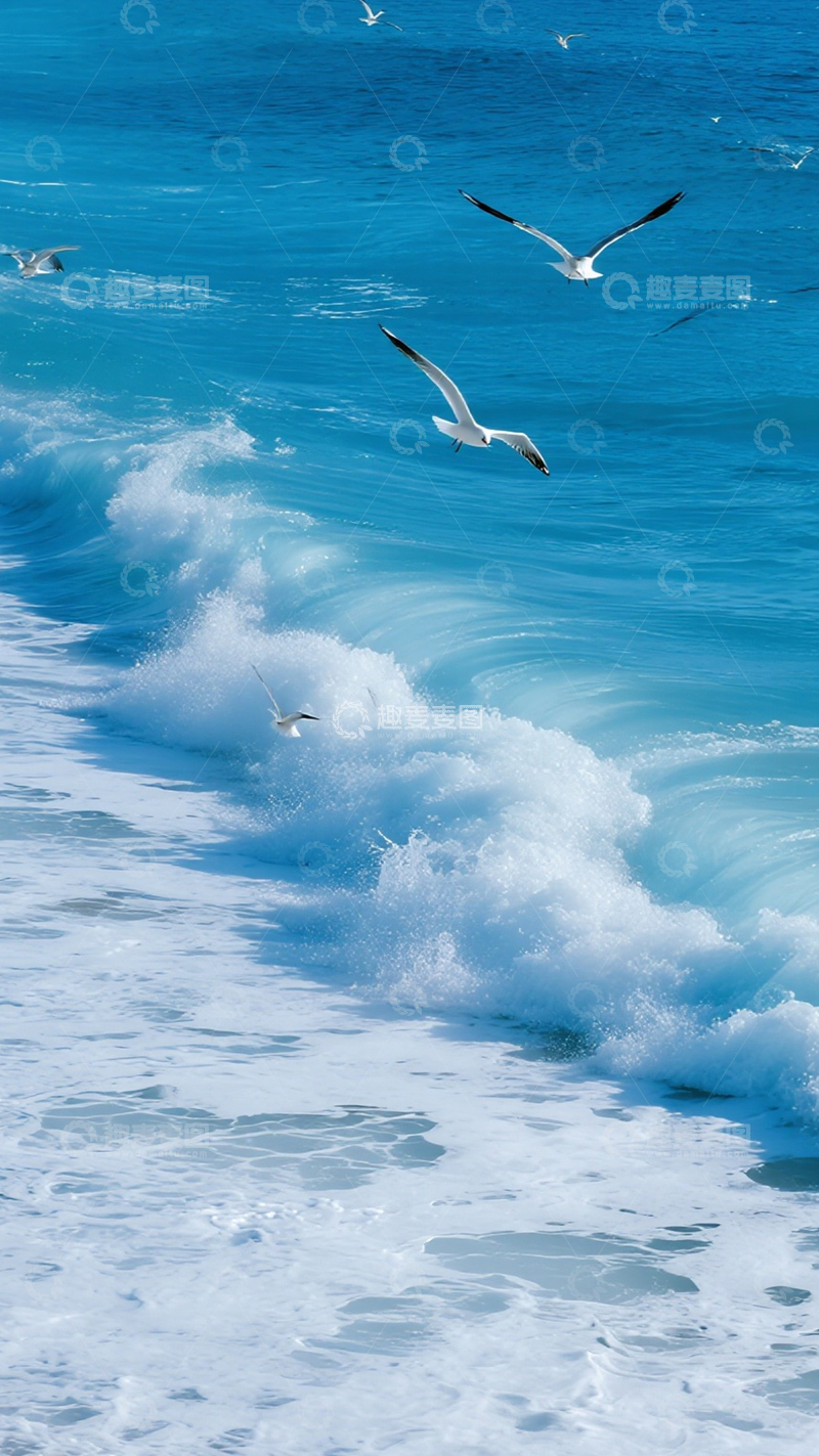 高清大图下载【趣麦麦图】海浪沙滩夏日海岸风景2