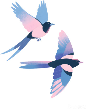 喜鹊免抠素材插画
