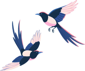 喜鹊素材插画