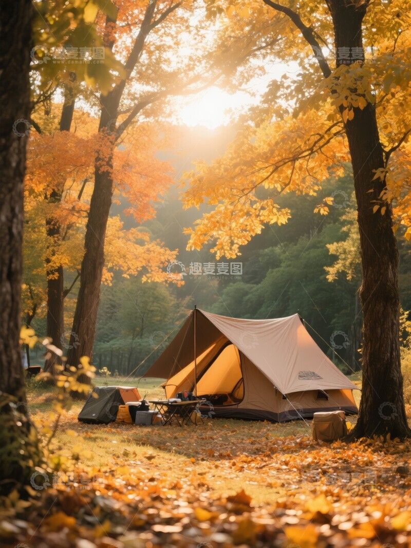 高清大图下载【趣麦麦图】秋日森林中的露营帐篷