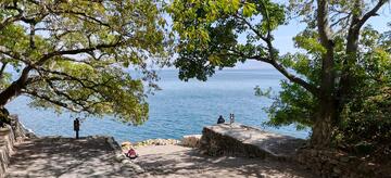 云南抚仙湖旅游蓝天白云树荫清新唯美