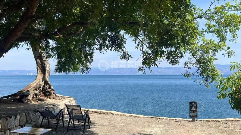 高清大图下载【趣麦麦图】云南抚仙湖蓝天白云湖面大树清新唯美日系