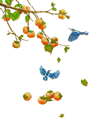 卡通柿子水果果实绿叶树枝喜鹊鸟类