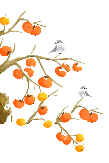 霜降节气柿子果实树枝麻雀鸟类