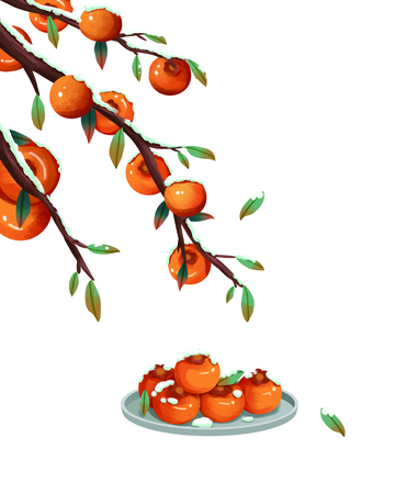 霜降积雪柿子果实水果树枝绿叶