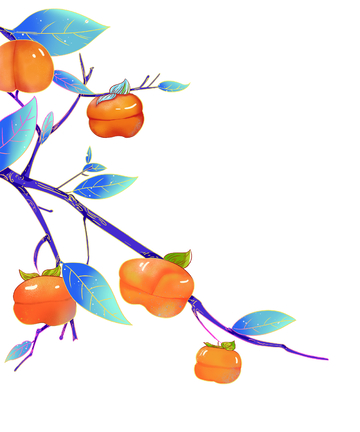 霜降水果果实柿子树枝树叶叶子