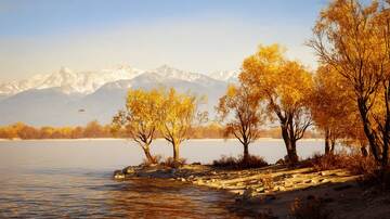 湖泊  朦胧  清冷