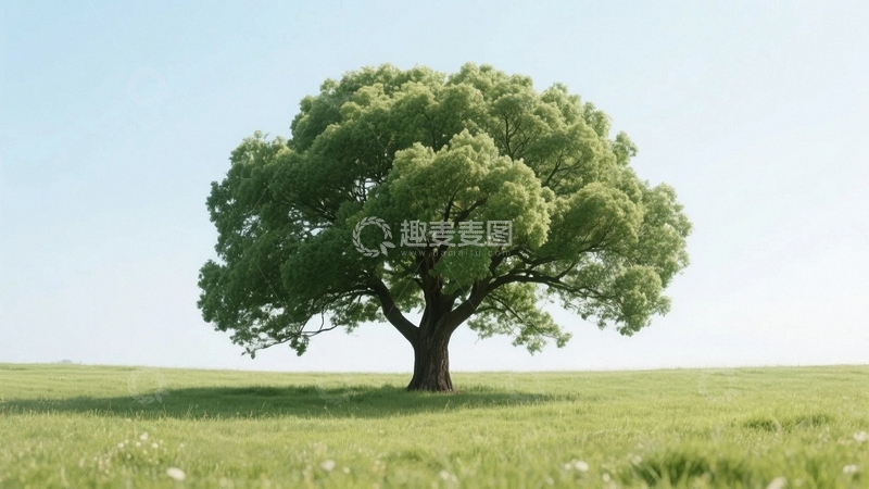 高清大图下载【趣麦麦图】绿意盎然的树01