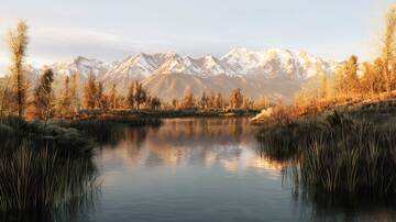 湖泊  凄清  寒碧