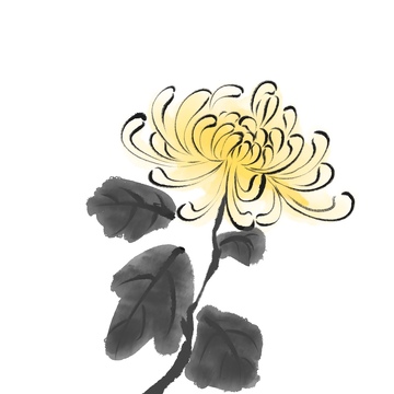 水彩菊花免抠元素