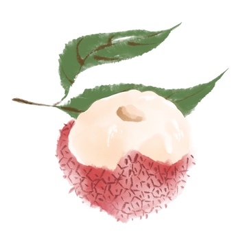 国风水墨风格水果荔枝免抠元素