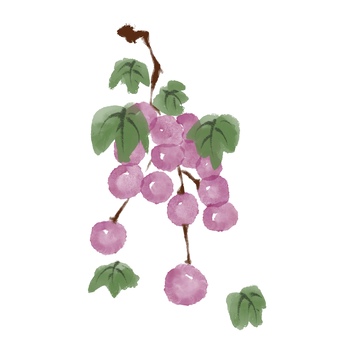 水墨风格水果葡萄免抠元素