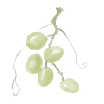 国风水墨水果葡萄免抠元素