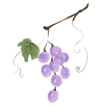 水墨风美味水果葡萄免抠元素